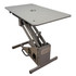 Groomer's Best Hydraulic Grooming Table 42"x 24", Gray Tall