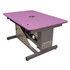 Groomer's Best Hydraulic Grooming Table 48"x 24", Purple Low