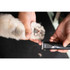 Dog paw pad being trimmed with Wahl Fidela Cordless Trimmer
