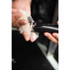 Vertical shot of Wahl Fidela Cordless Trimmer trimming hair between a dog’s paw pads