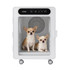 Two chihuahuas being dried inside Jirpet C7s Pet Dryer Cabin