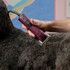 Andis clipper with Wide 5F M-Force Blade in use on a dog’s coat