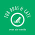 Green graphic with the text 'For dogs & cats over six weeks,' surrounding a white icon of a dog and cat