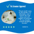 Customer review graphic for earthbath® Shed Control Conditioner labeled 'Pet Groomer Approved,' featuring a five-star groomer review praising the formula for its scent, softness, shine and effectiveness on double-coated shedding breeds