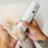 Andis EMERGE® Pro Clipper trimming the hair on a poodle's ear