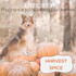 Seasonal Scents Harvest Spice graphic featuring a dog among pumpkins in a warm fall woodland setting with the text “Enticing fragrance to awaken your senses.”