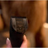 Close-up of Wahl 5-in-1 Diamond Pro Blade on clipper in front of dog