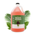 Gallon jug of Bark2Basics Deodorizing Shampoo with fresh, green leaves in the background