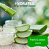 Sliced aloe vera leaves with aloe gel dripping into a glass jar on a wooden table. Text reads: 'hydrates dry, brittle coats, fresh & clean scent'