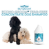 Bio-Groom Econo-Groom Tear-Free Concentrate Dog Shampoo. Gallon of Bio-Groom Econo Groom is next to a black dog and a white dog.