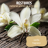 Close-up of vanilla pods and flowers on a wooden table, accompanied by the text: 'restores natural shine on any coat, vanilla fragrance'