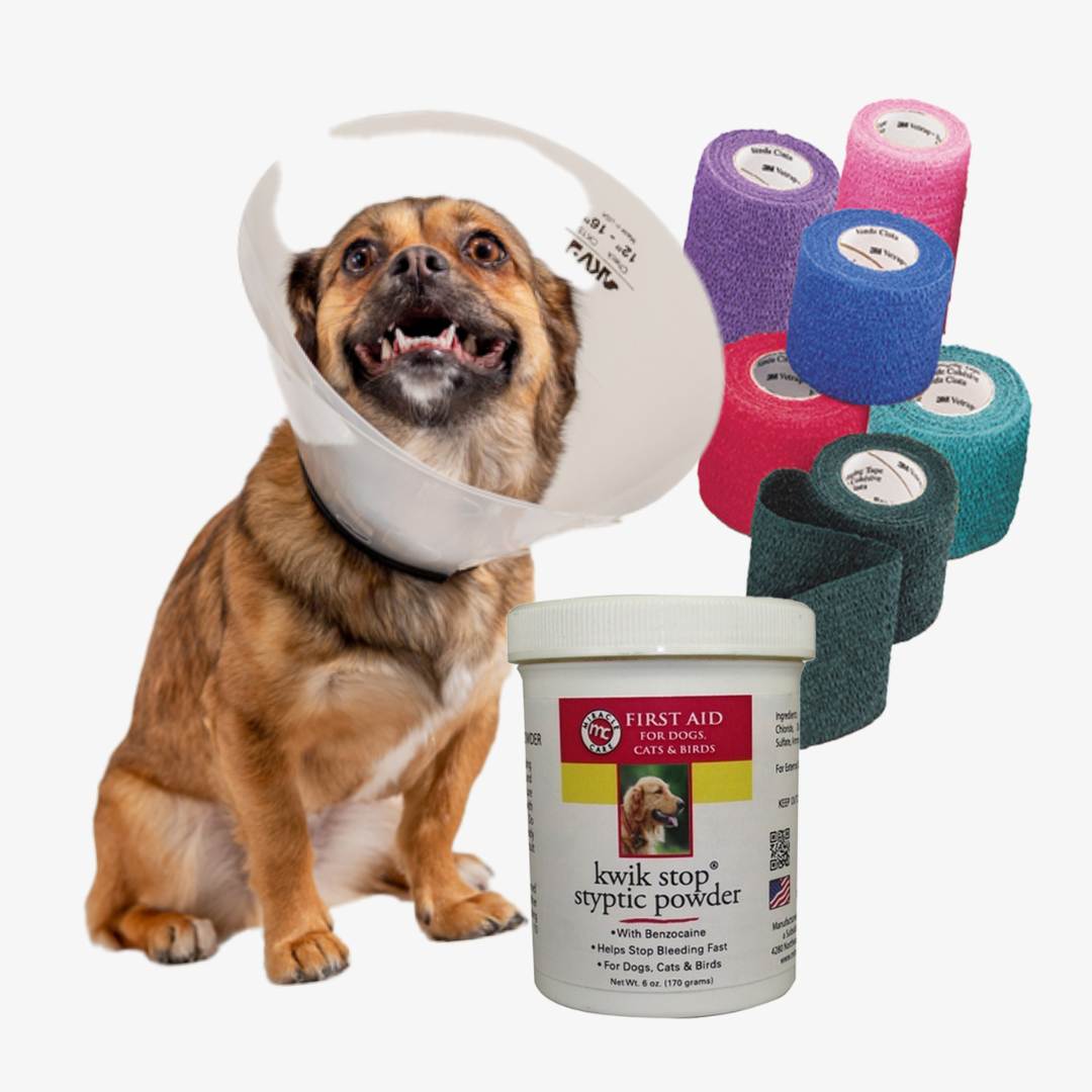 First Aid
