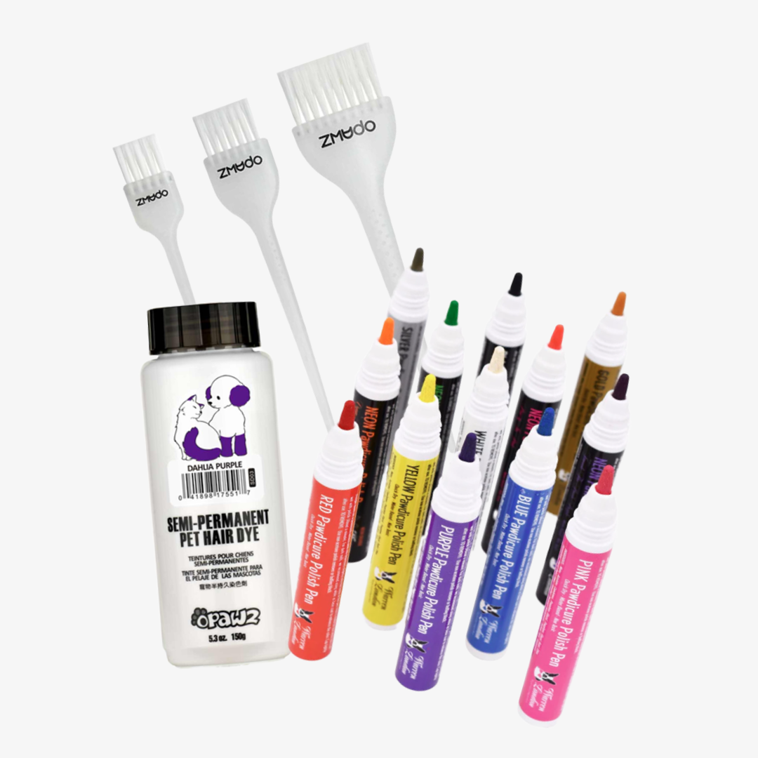 Paints & Accessories
