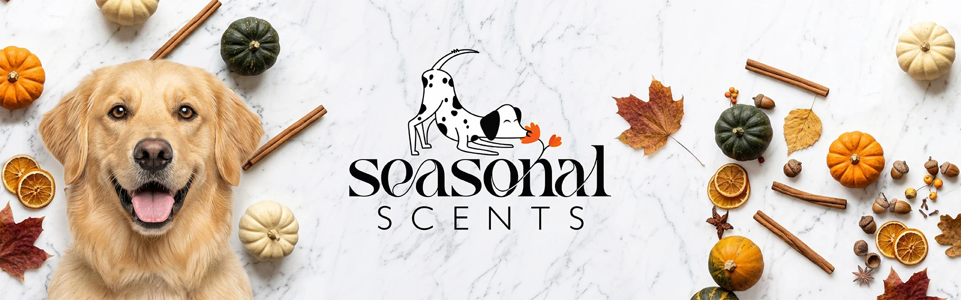 Seasonal Scents banner featuring a golden retriever surrounded by pumpkins, fall leaves, cinnamon sticks and dried oranges.