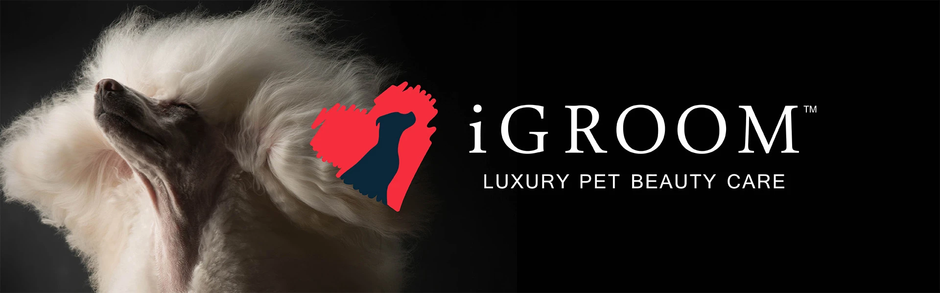 iGroom Luxury Pet Beauty Care logo beside a freshly groomed white poodle.