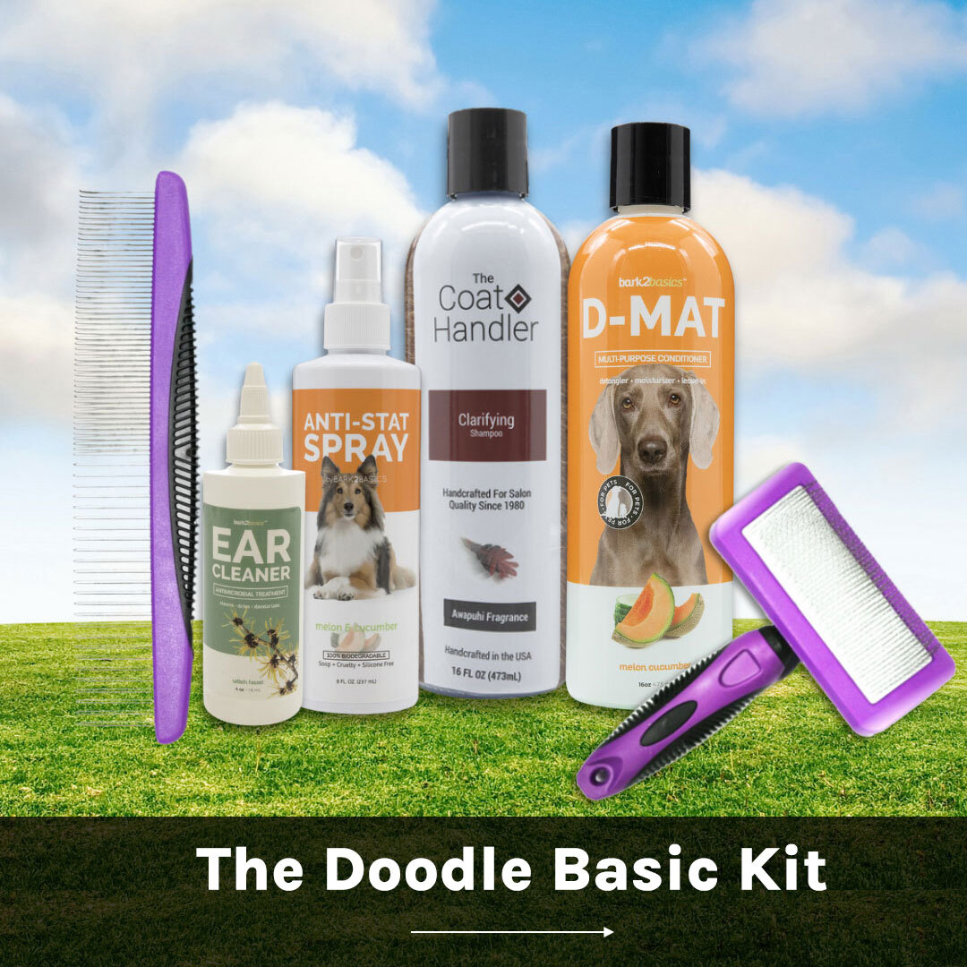 The Doodle Basic Kit