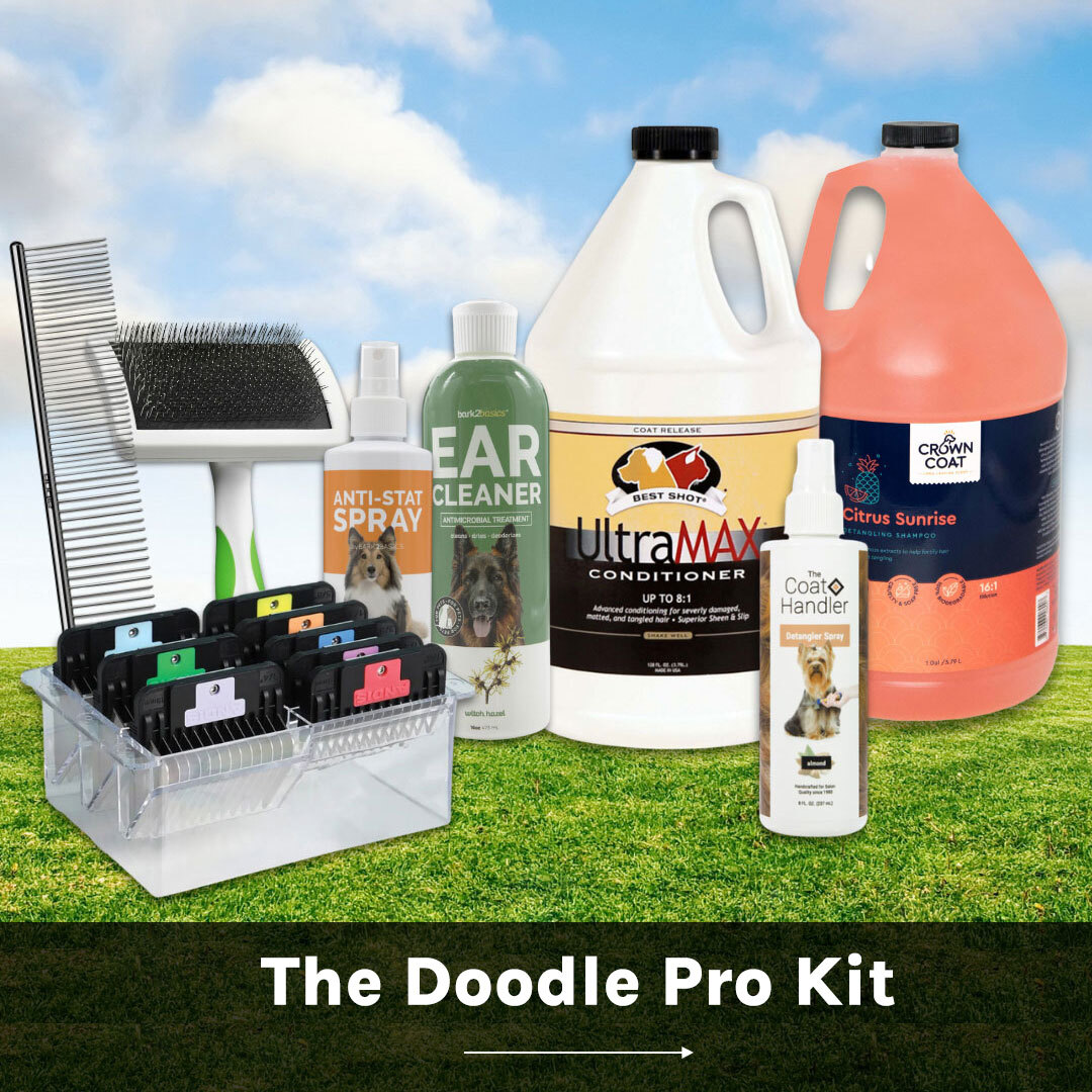 The Doodle Pro Kit