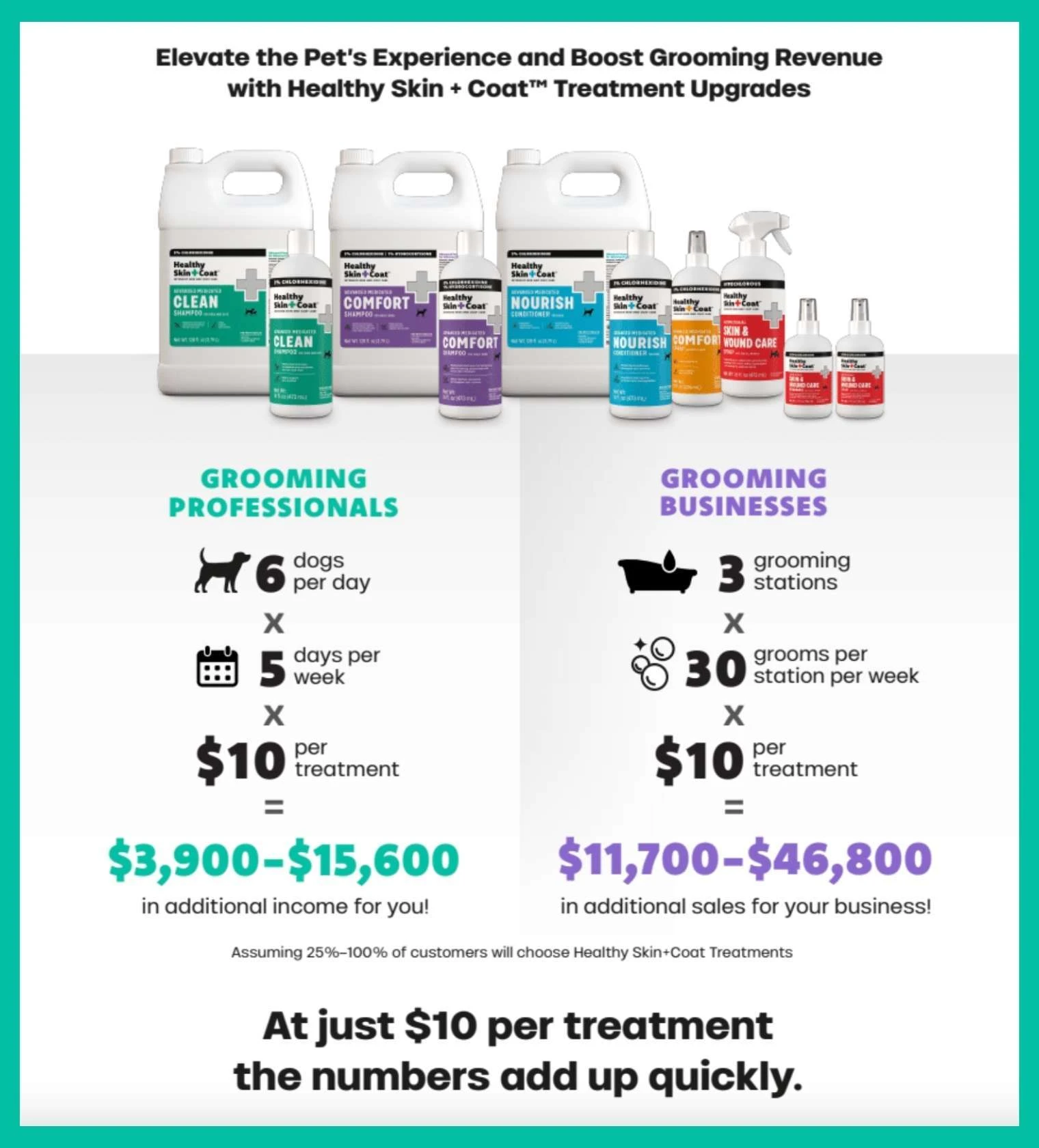 Healthy Skin + Coat product lineup with infographic showing revenue potential from treatment upgrades