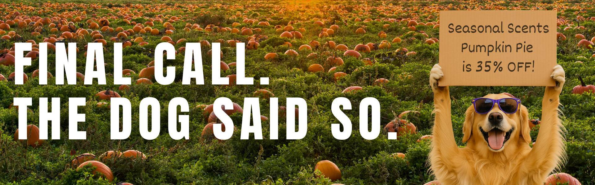 Golden retriever wearing sunglasses holds a cardboard sign reading "Seasonal Scents Pumpkin Pie is 35% OFF!" in a pumpkin patch at sunset, with large white text saying "FINAL CALL. THE DOG SAID SO."