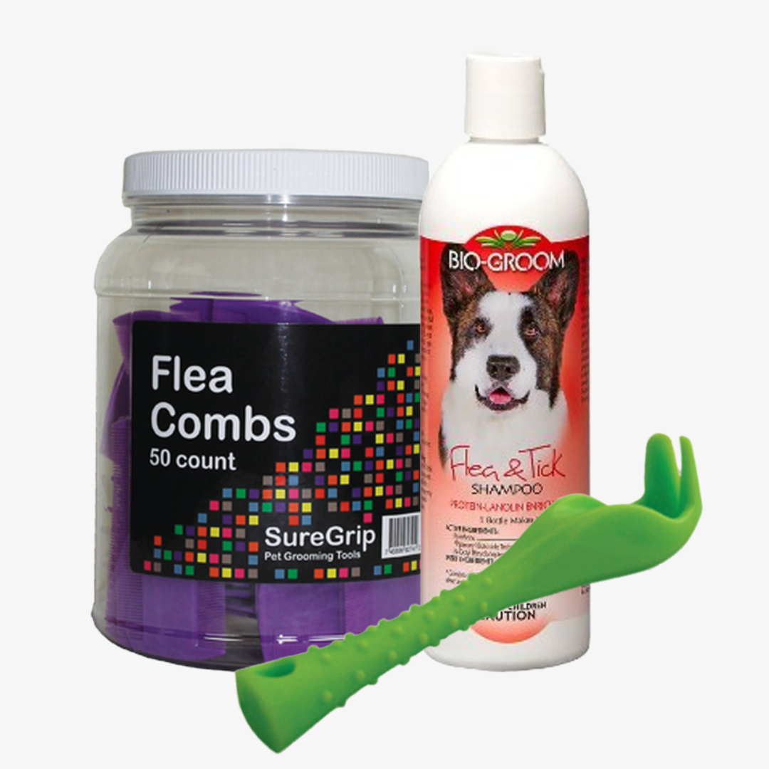 Flea and Tick