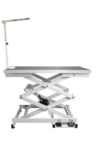 painted turtle starter kit