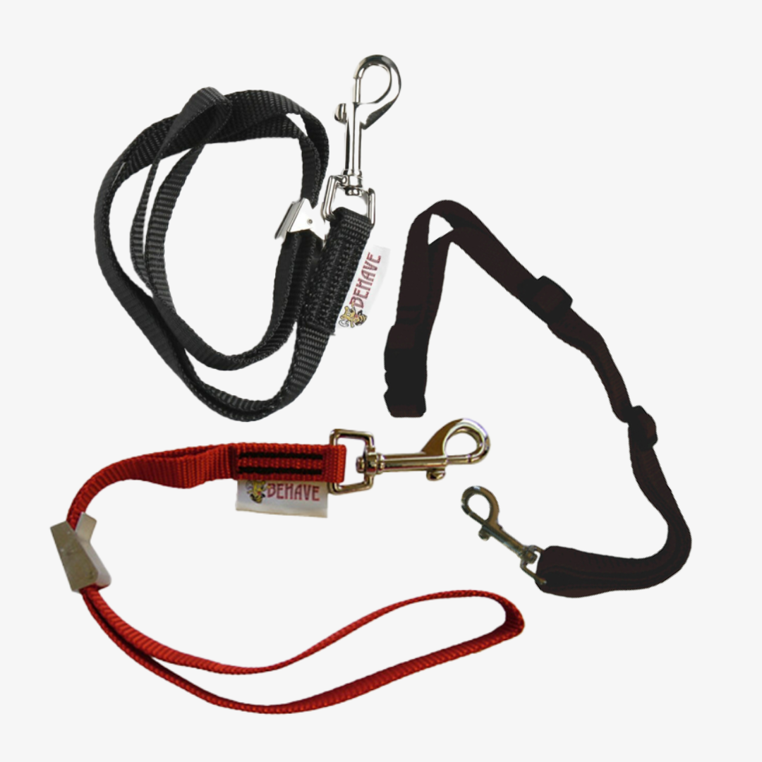 3Pcs Dog Grooming Harness Strap Pet Noose Restraint Belly Pad Lead Safety  Belt