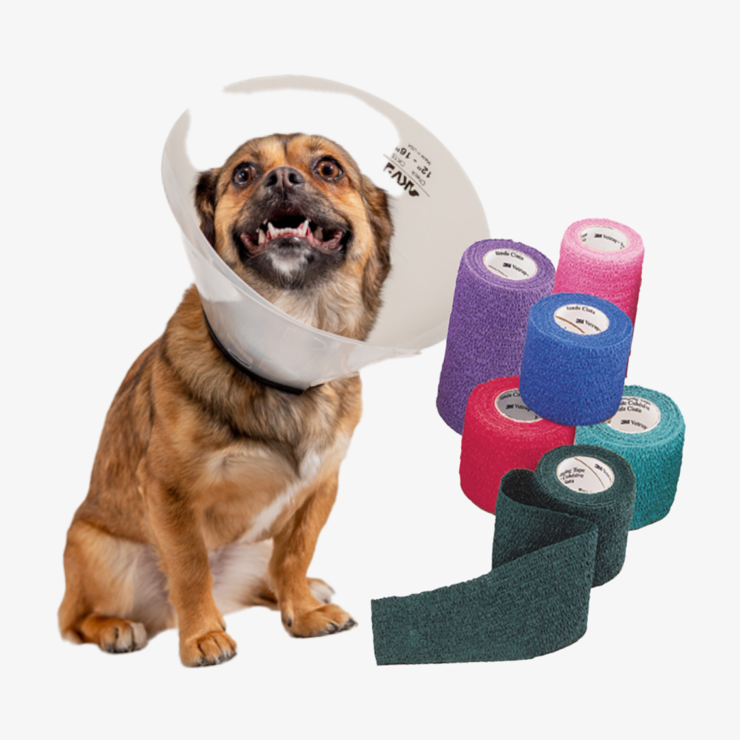 Bandages and E-Collars