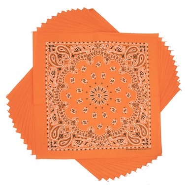 新品未使用 TIMEWORN CLOTHING BANDANA ORANGE BD09PK__55556.1649343814.386.