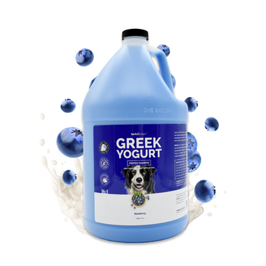 Bark2Basics Blueberry Greek Yogurt Dog Shampoo, 1 Gallon