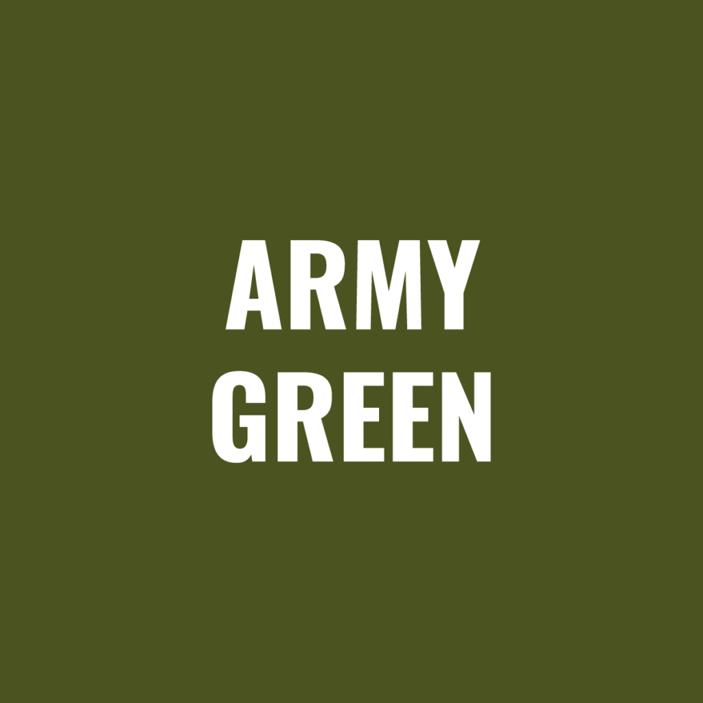 Paint, Spray Can (12 Oz) Powder Army Green