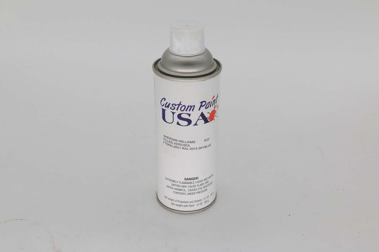 Paint, Spray Can (12 Oz) Powder Sky Blue