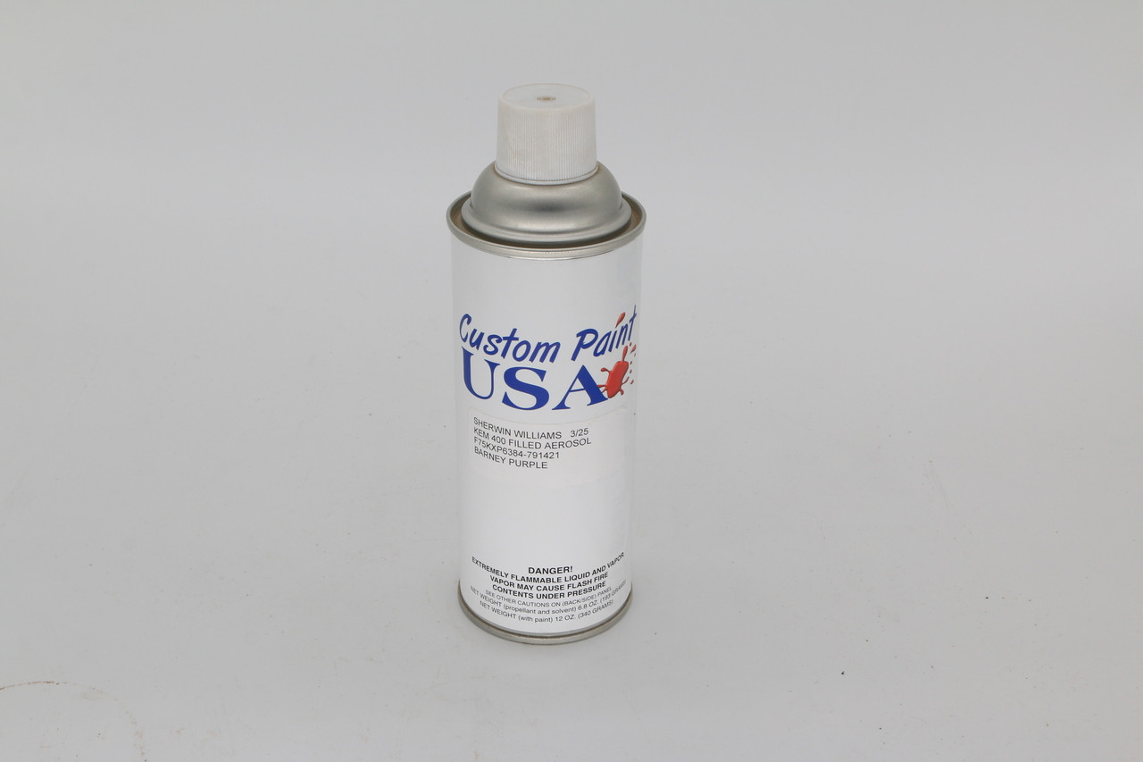 Paint, Spray Can (12 Oz) Powder Barney Purple