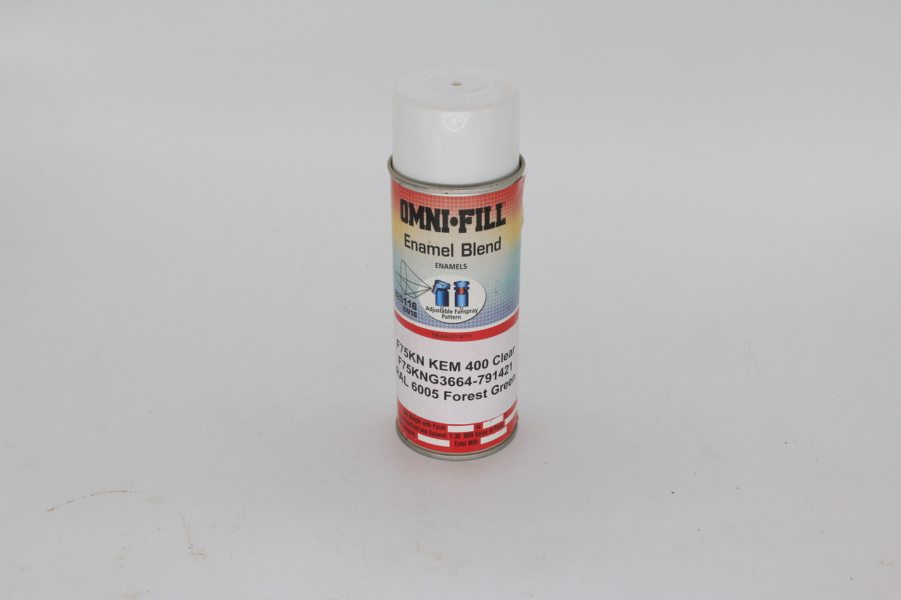 Paint, Spray Can (12 Oz) Powder Forest Green