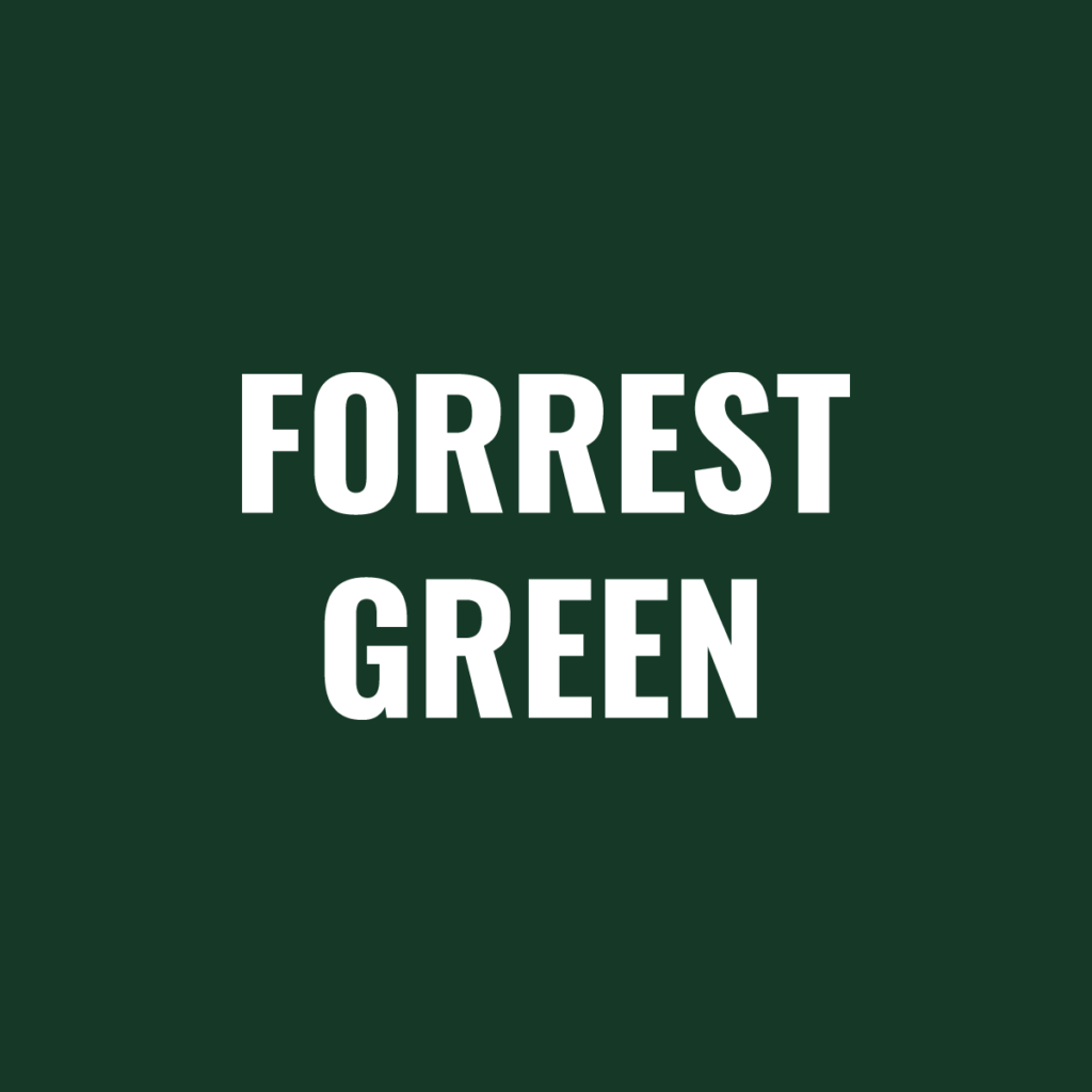 Paint, Spray Can (12 Oz) Powder Forest Green