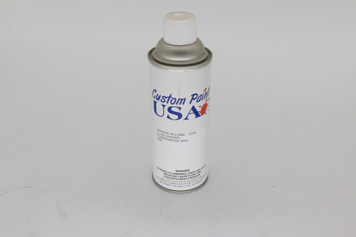 Paint, Spray Can (12 Oz) Powder Pink