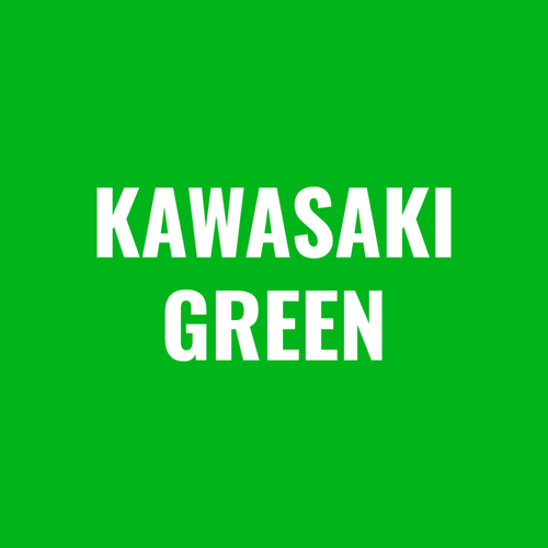 Paint, Spray Can (12 Oz) Powder Kawasaki Green