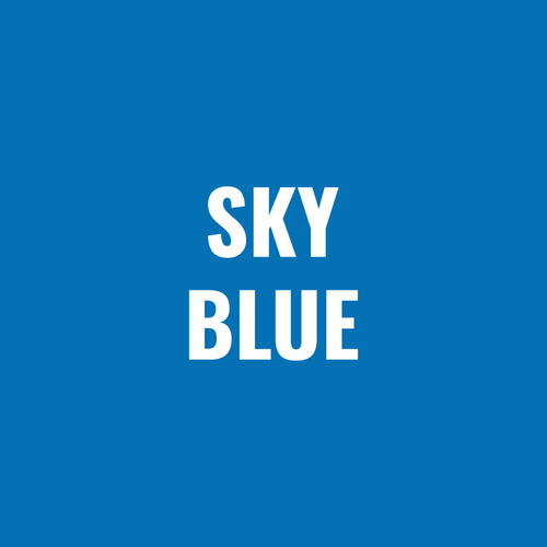 Paint, Spray Can (12 Oz) Powder Sky Blue