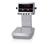 Rice Lake IQ Plus 2100 Digital Bench Scale with Column