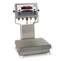 Rice Lake CW-90 Over/Under Checkweigher