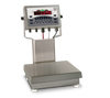 Rice Lake CW-90 Over/Under Checkweigher