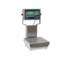 rice-lake-cw90b-with-482plus-indicator-package