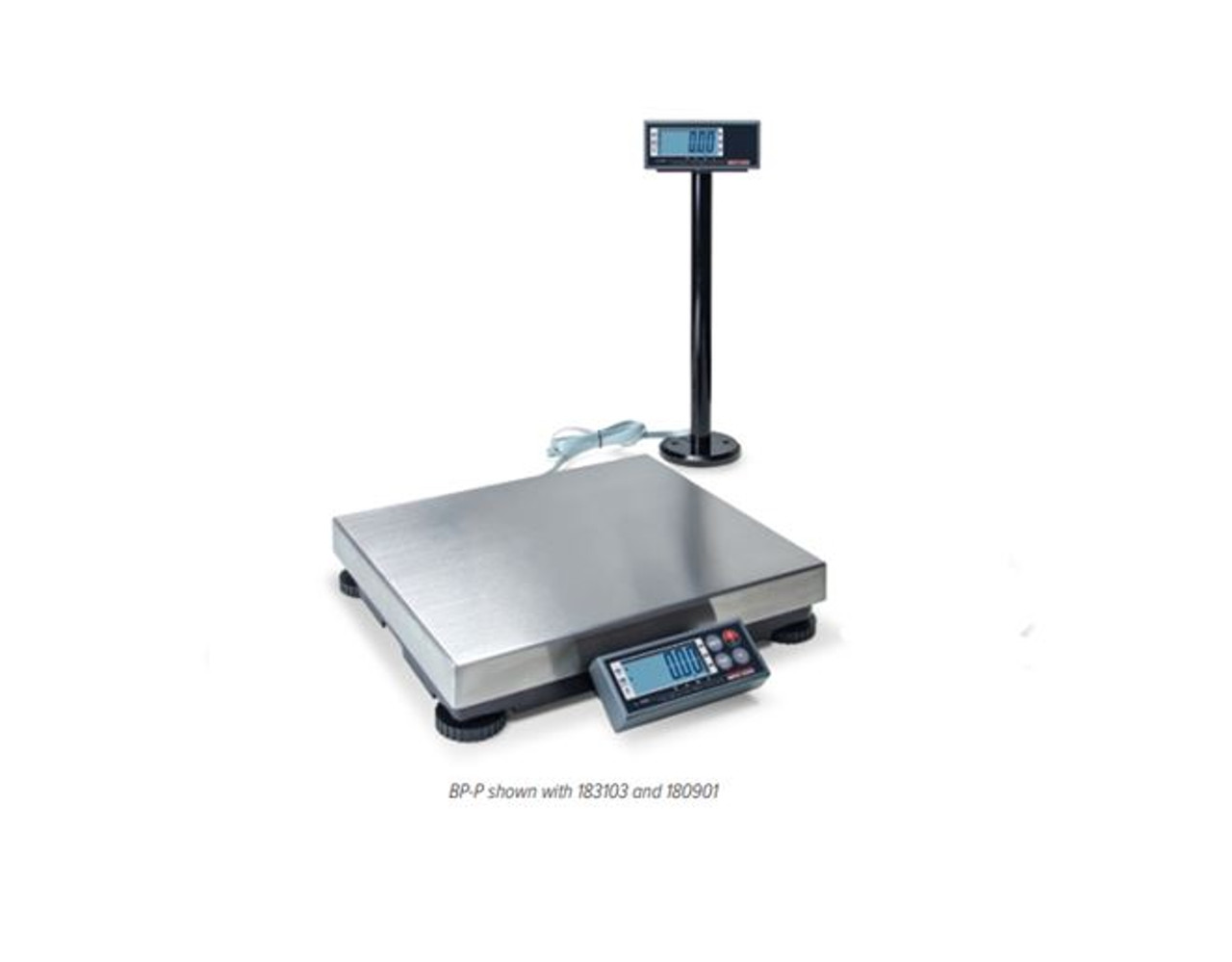 Rice Lake BenchPro BP-S Series Shipping Bench Scale - 182993