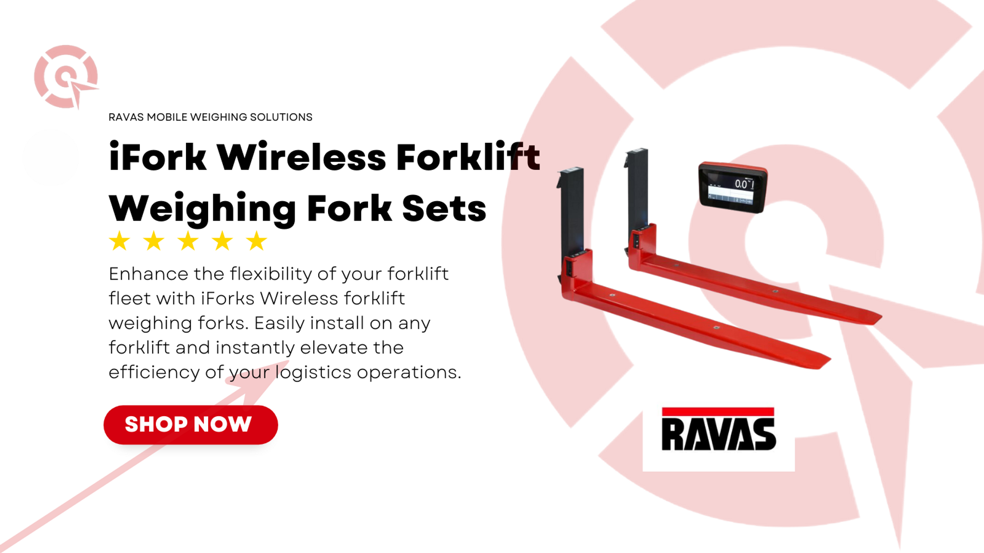 RAVAS Mobile Weighing, Innovative Weighing Systems, Scales