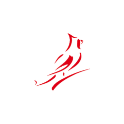 Cardinal Detecto