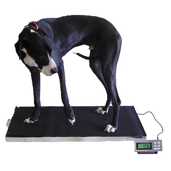 Tree LCVS-60LB Small Pet Scale 60 lb x 0.02 lb Glass Platform