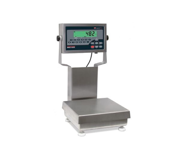 rice-lake-cw90b-with-482plus-indicator-package