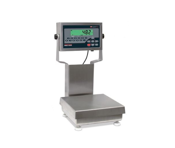 rice-lake-cw90b-with-482plus-indicator-package