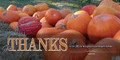 Thanksgiving church service banners promote worship, gratitude, and community gatherings, typically featuring warm autumn colors, harvest imagery, and uplifting Bible verses. Popular designs include phrases like "Give Thanks" designed to create a welcoming atmosphere for parishioners, available in vinyl or fabric options.

And if you want something uniquely yours, contact us! Our design professionals will create a special design with your information - all at no extra charge!