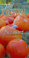 Thanksgiving church service banners promote worship, gratitude, and community gatherings, typically featuring warm autumn colors, harvest imagery, and uplifting Bible verses. Popular designs include phrases like "Give Thanks" designed to create a welcoming atmosphere for parishioners, available in vinyl or fabric options.

And if you want something uniquely yours, contact us! Our design professionals will create a special design with your information - all at no extra charge!