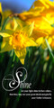 Motivational theme banners are designed to inspire, encourage, and spiritually uplift congregants and visitors. These banners feature powerful Bible verses, uplifting quotes, and thematic phrases to promote a hopeful tone for worship.

And if you want something uniquely yours, contact us! Our design professionals will create a special design with your information - all at no extra charge!